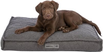 Image du produit Trixie 36676 (Chien)