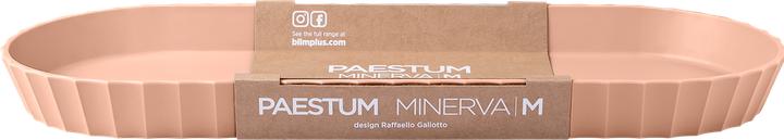 Image du produit Blim Plus Plateau Minerva gr. M 37.5x15 cm