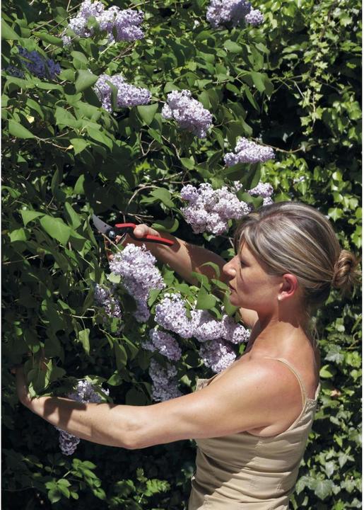 Immagine prodotto Felco Cesoie da potatura