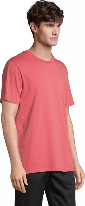 Actual product image Sol's Legend (XL)