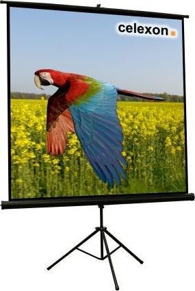 Produktbild Celexon Eco Stativ, Leinwand, 1:1 (86.22", 1:1)
