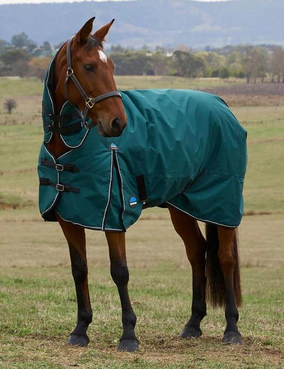 Actual product image Weatherbeeta Comfitec Classic Combo 220g