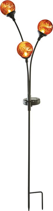 Star Trading Trieste (IP44)