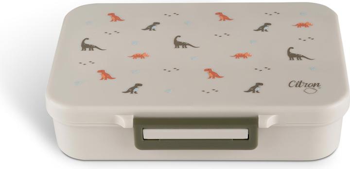 Actual product image Citron Tritan