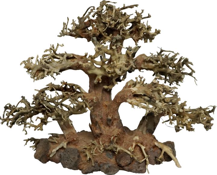 4fish Traerødder, Tree Island, 20x10x15 cm (Embellishment, other items)