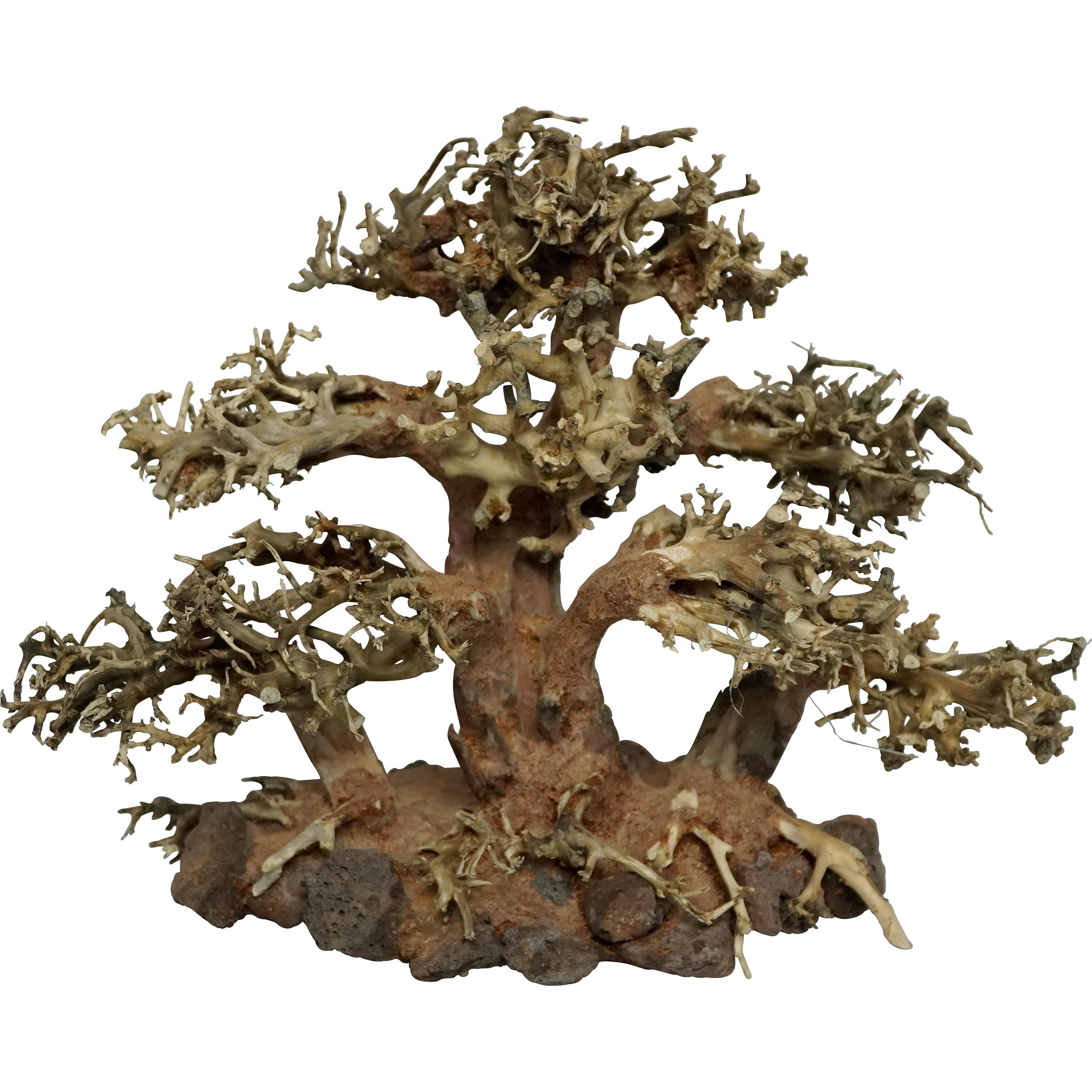 Meilleurs prix pour 4fish Traerødder, Tree Island, 30x15x23 cm (Décoration, autres éléments), Décoration d'aquarium
