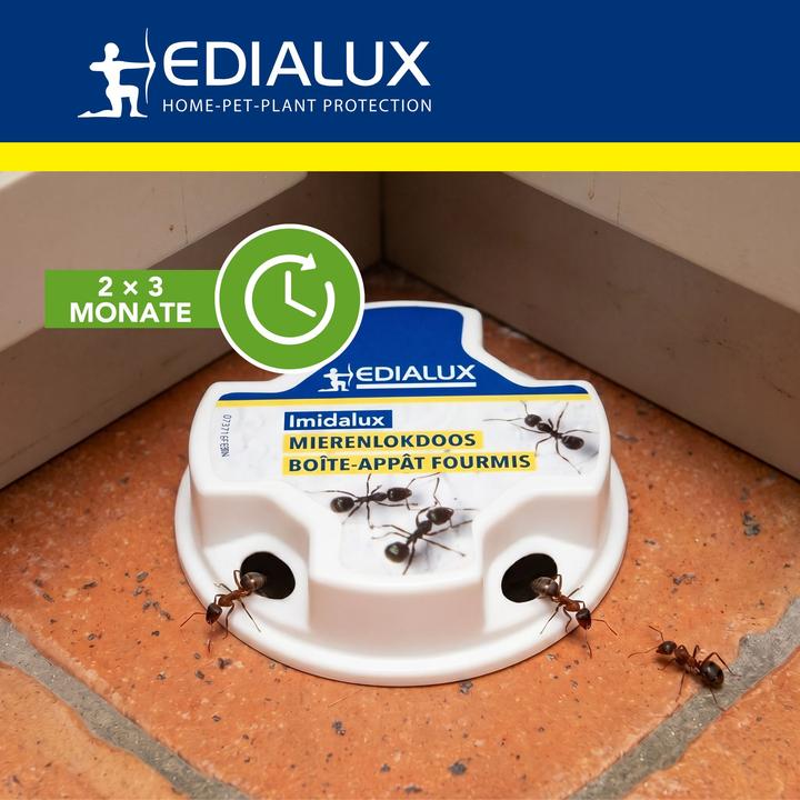 Produktbild Edialux Imidalux Ameisenköderbox mit Gelköder gegen Ameisen und Nester, Insektizidköder für Innen-
