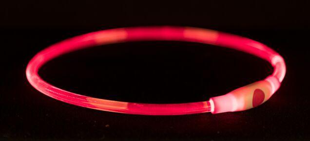 Actual product image Trixie Flash light ring USB (S, M, Dog, Dog sport)