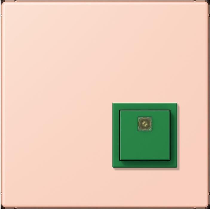 Actual product image JUNG Switch-off button