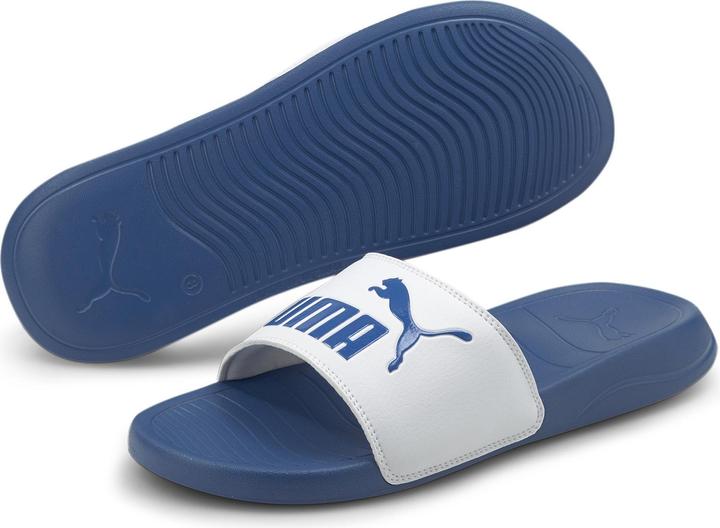 Star Sapphire-Puma White