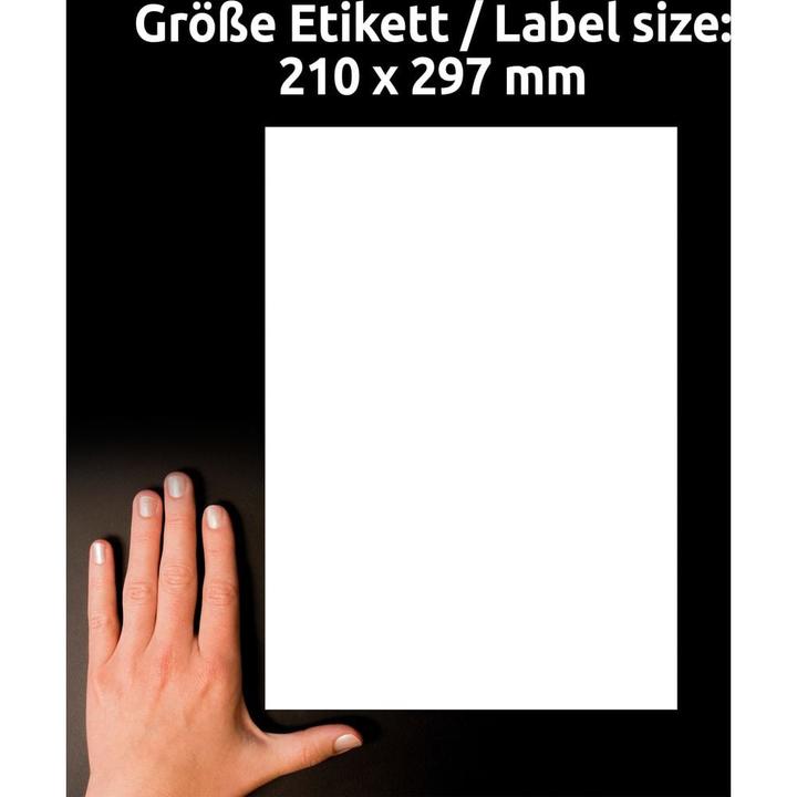 Actual product image Avery Strongly resilient paper labels