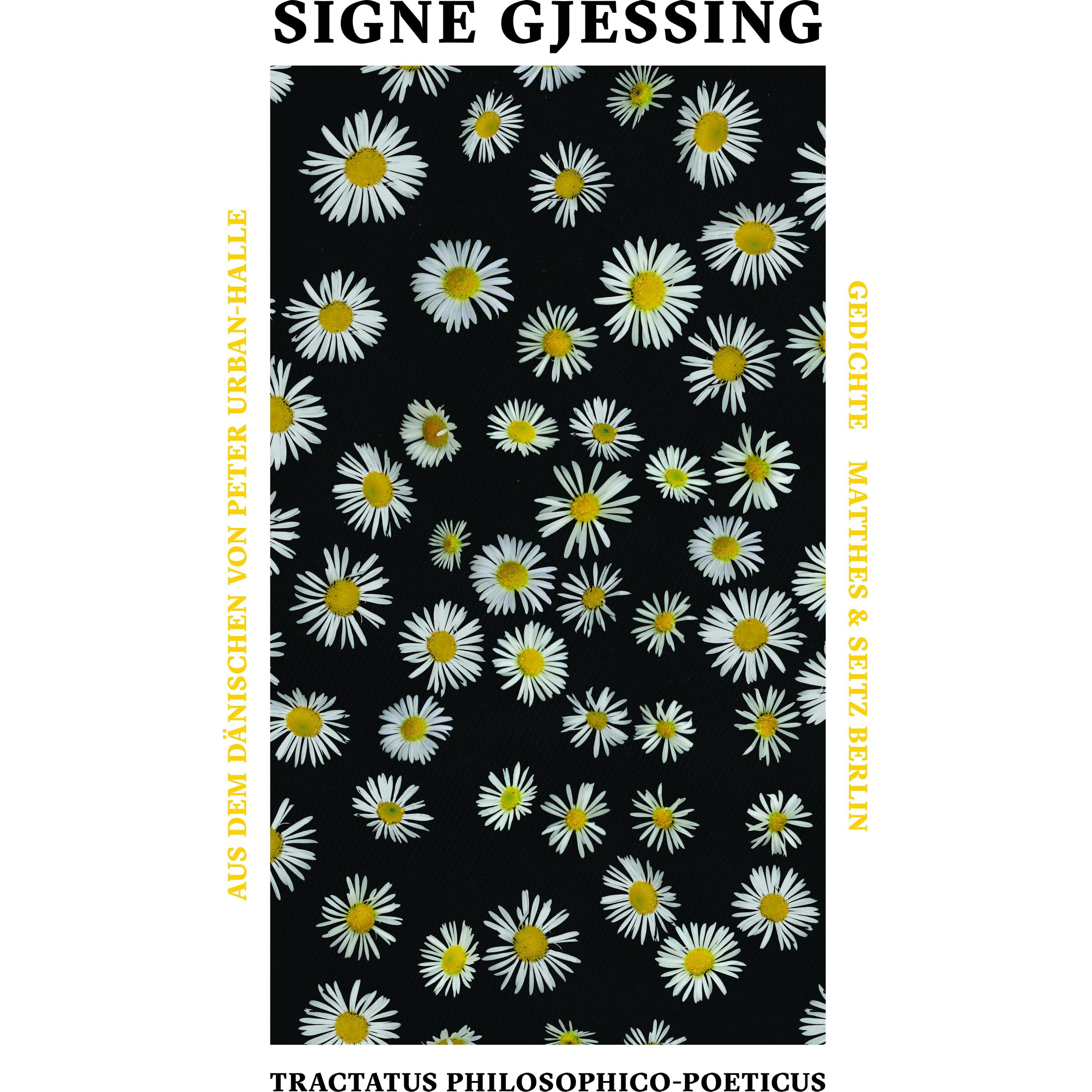 Tractatus philosophico-poeticus, Belletristik von Signe Gjessing