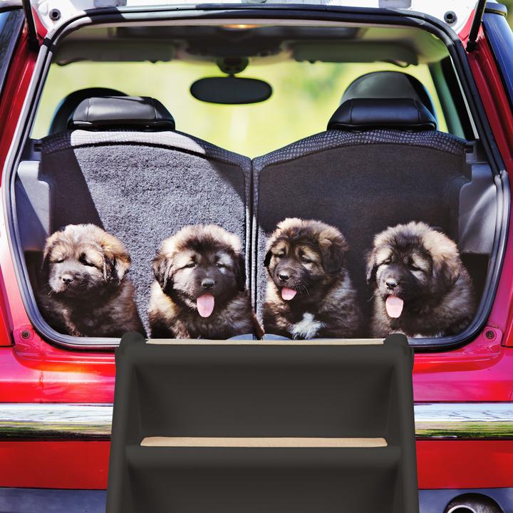Immagine prodotto Relaxdays Scale per cani (Cane, Pieghevole)