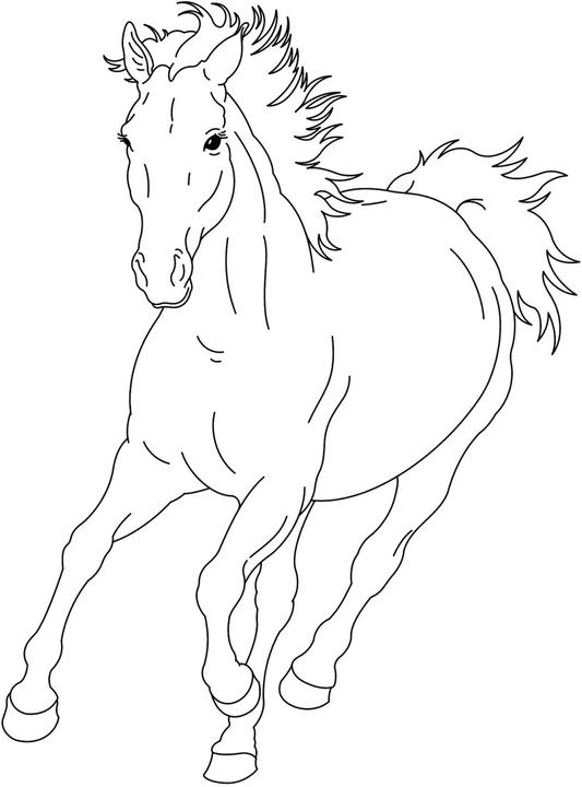 Produktbild Mein superdicker Pferdefreunde-Malblock