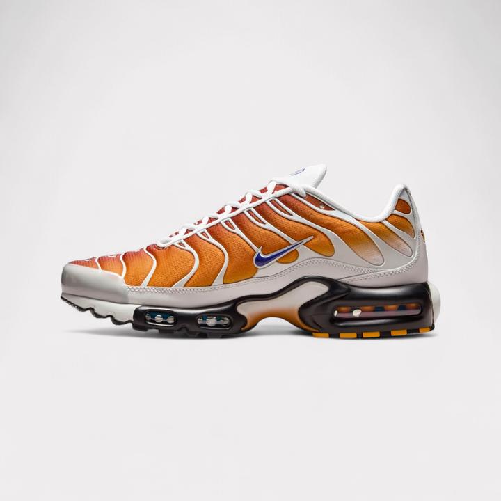 Image du produit Nike Air Max Plus One Block Down (43)