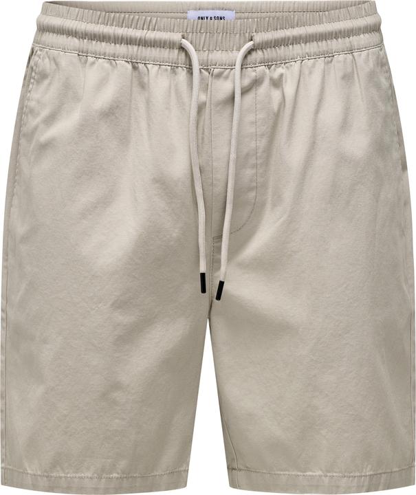 Actual product image Only & Sons Regular fit shorts Shorts (S)
