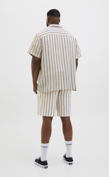 Actual product image Jack & Jones Jpstjaiden Coba Stripe Jog Short Sn Pls (42)