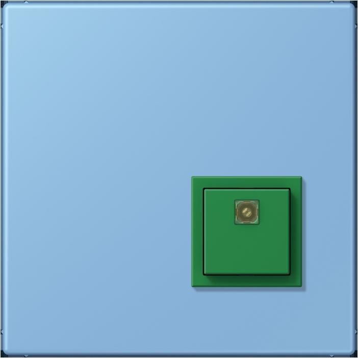 Actual product image JUNG Switch-off button