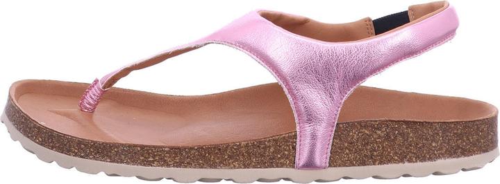 Produktbild Verbenas Reagan (37)