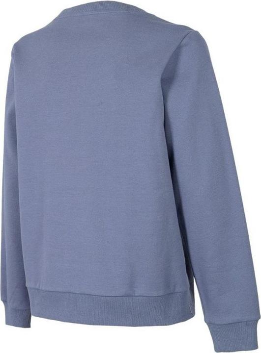 Produktbild 4F H4Z22 Sweatshirt (L)