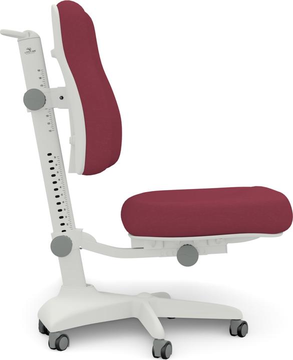 Actual product image Lifetime Kidsrooms Office chair model Ergo Dark red