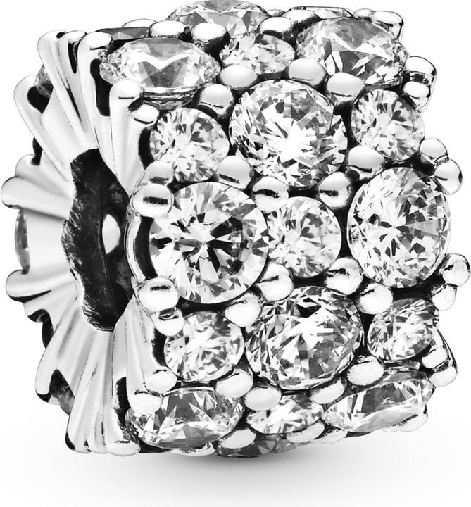 Image du produit Pandora Charme (Argent sterling)