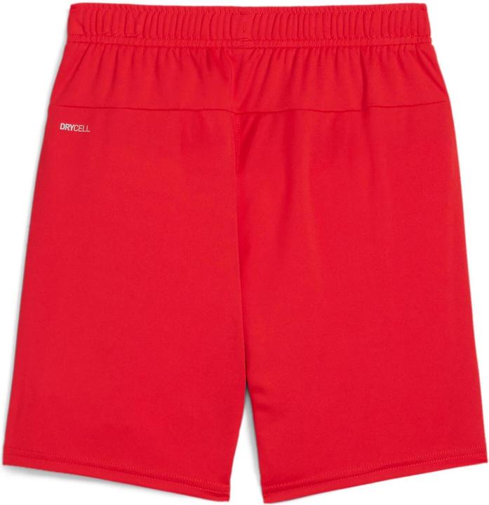 Immagine prodotto Puma Pantaloncini TeamGOAL Jr (152, L)