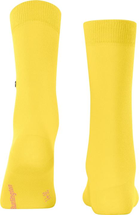 Produktbild Burlington Lady (Einzelpack, 36 - 41)