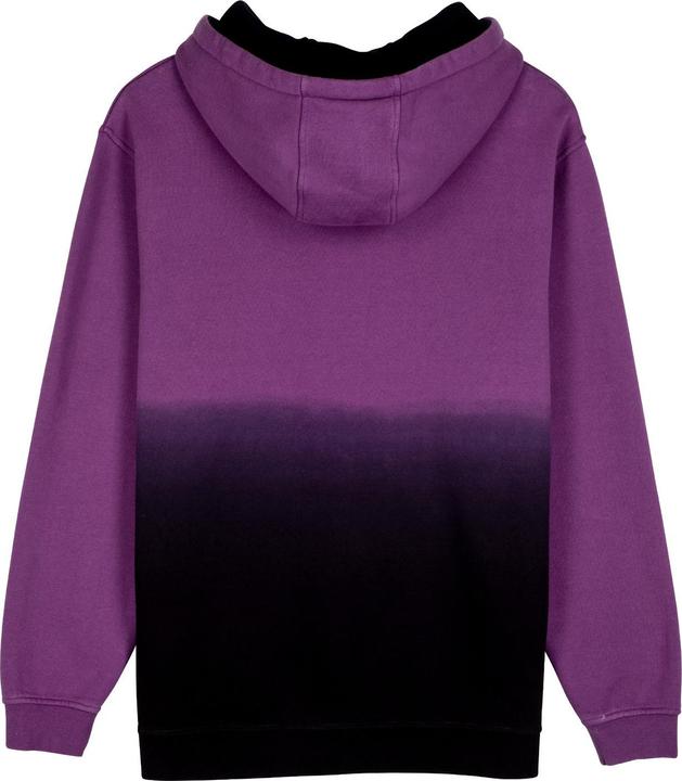 Actual product image Santa Cruz Mono Lined Oval Dot Front Hoodie (S)