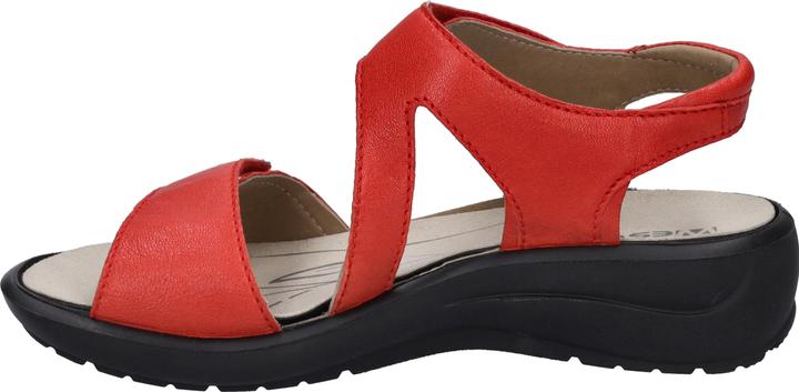 Actual product image Westland 25901-644 (38)