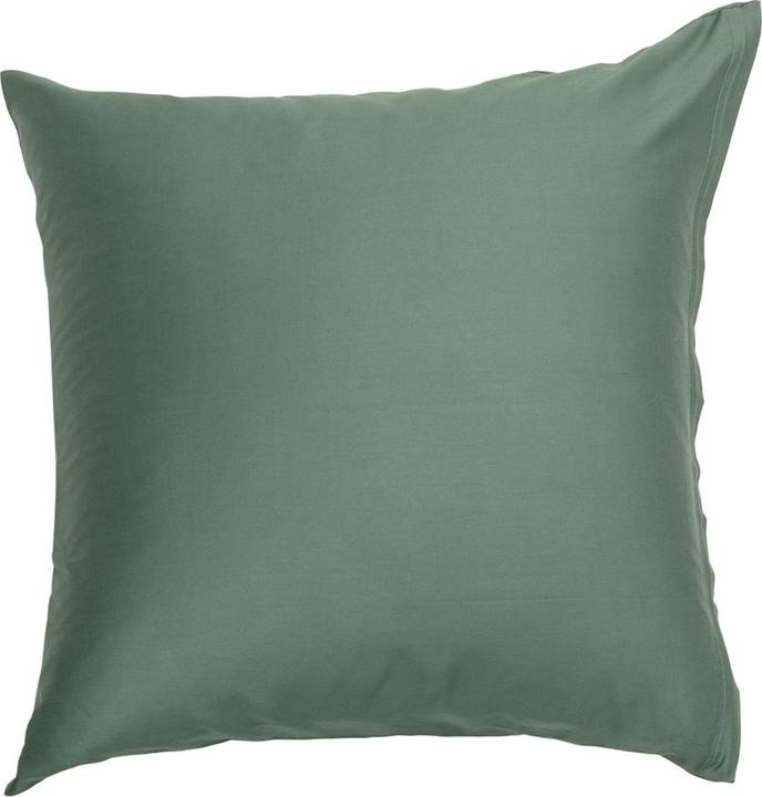 Actual product image Johann Jakob Sora (Pillowcase, 65 x 100 cm)