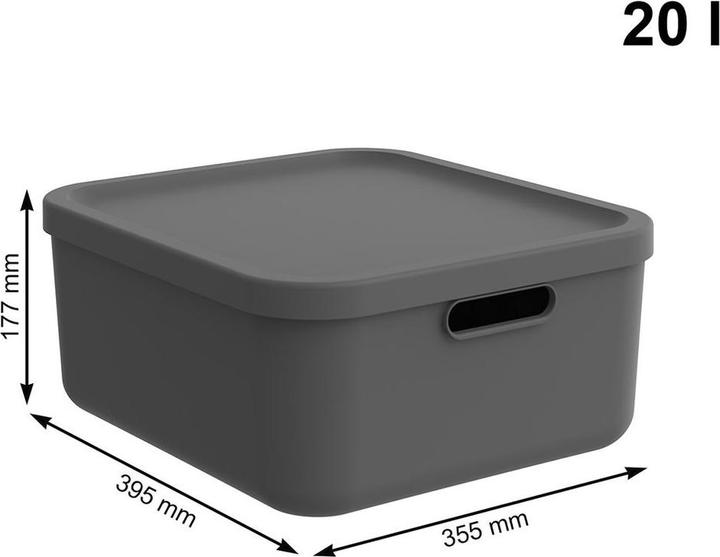 Actual product image Rotho Albula (39.5 x 35.5 x 18 cm, 20 l)
