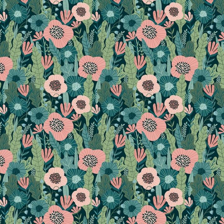 Immagine prodotto Clairefontaine Carte stampate (70 g/m², 60 x)