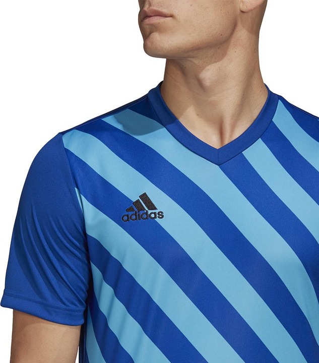 Actual product image adidas Entrada 22 Graphic Football Shirt Men (M)