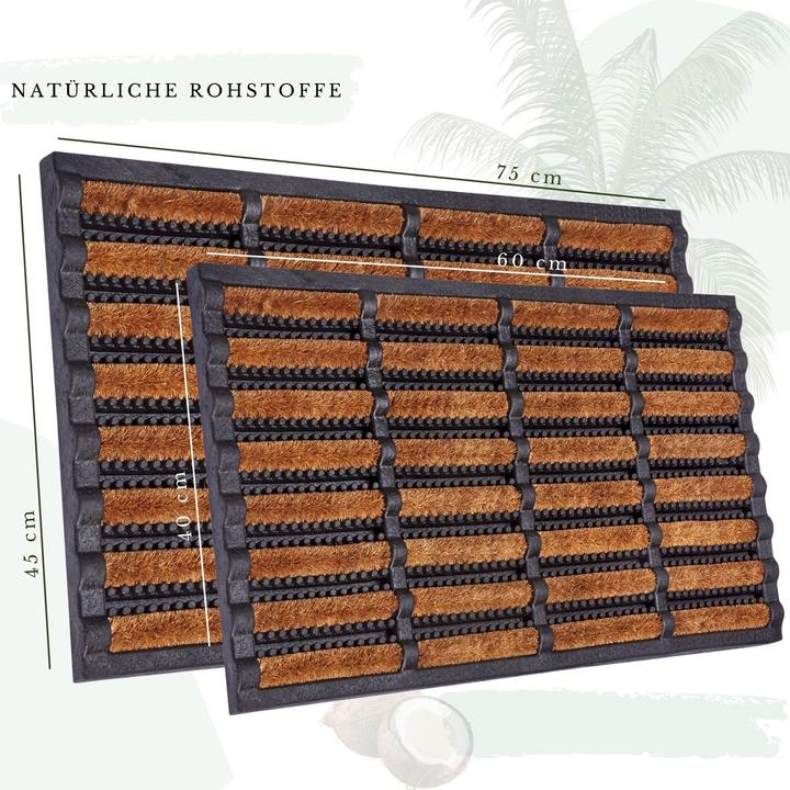 Actual product image Hanse Home Brushes Mat (40 x 60 cm)
