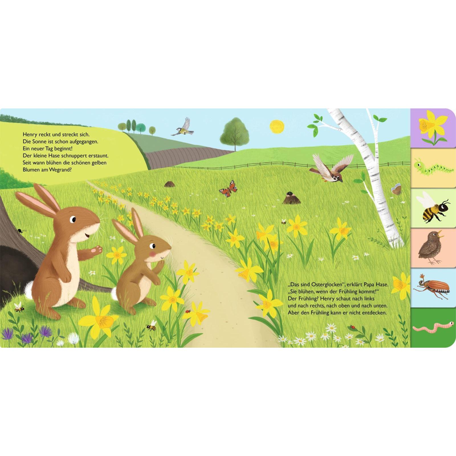 Thumbnail - Mein erstes Jahreszeitenbuch: Henry, der kleine Hase, Kinderbücher von Anja Kiel, Lucy Barnard