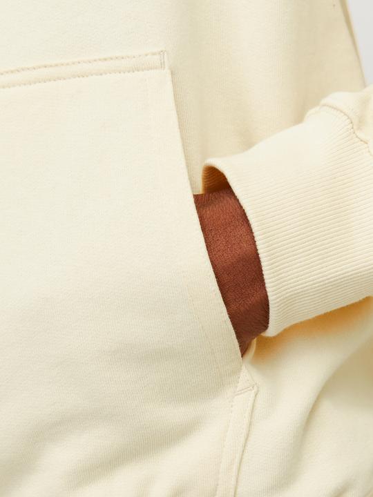 Actual product image Jack & Jones Jornoto Graphic Sweat Hood (S)