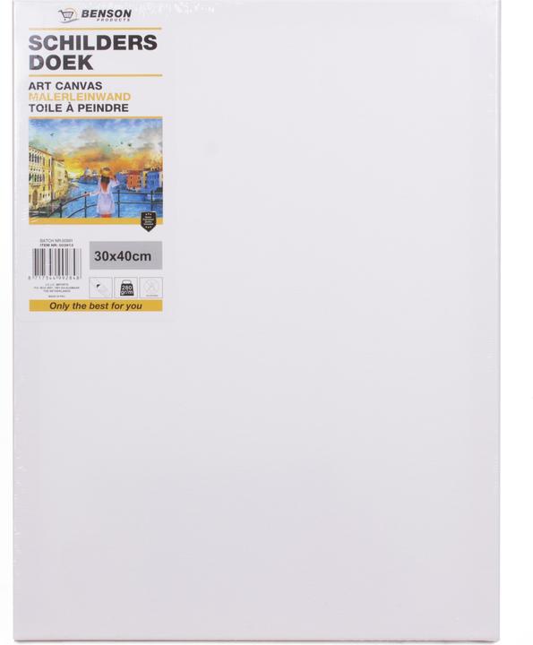 Benson Painter's canvas 30x40cm