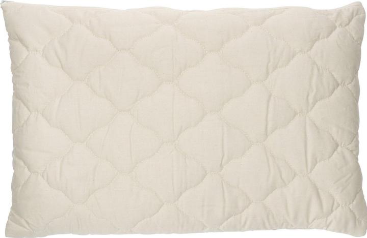 Irisette Dinkelkissen «Dilan» (60 x 40 cm)