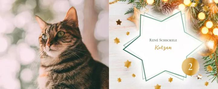 Image du produit Histoires de chats