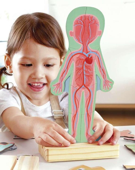 Immagine prodotto Hape Corpo umano (Inglese, 3 - 6 anni)