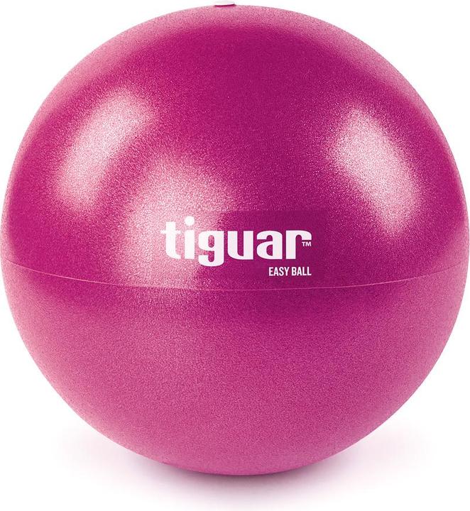 Actual product image Tiguar Exercise ball Easy Ball, 25cm (23 cm)