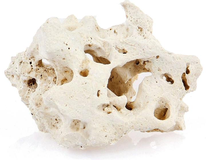 Image du produit Amazonas World Rocher de Zanzibar (Décoration, Pierres)