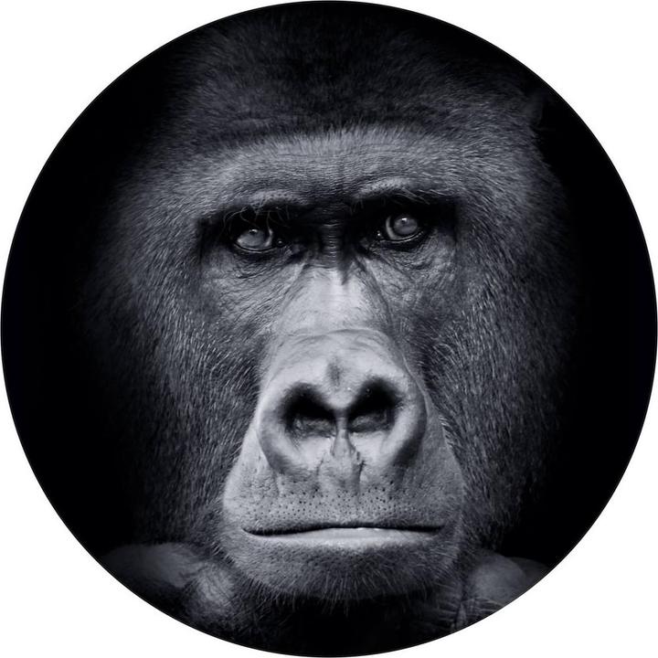 Actual product image Trenddeko gorilla (Ø 284 cm)