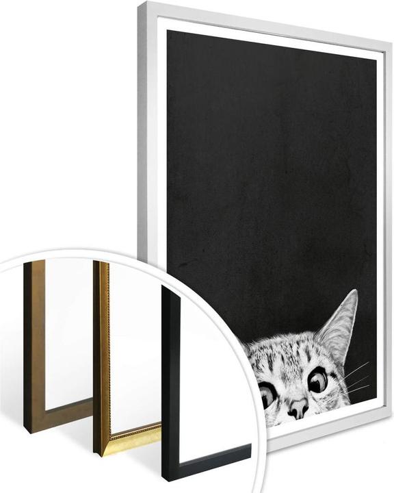Immagine prodotto Trenddeko Graves - Stai già dormendo (80 x 100 cm)