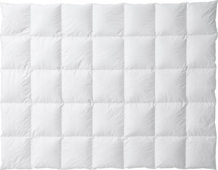 Produktbild Billerbeck Luzern 100 (600 g, 160 x 210 cm, Daune)