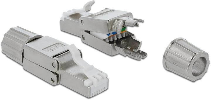 Delock Plug RJ45 Cat.6A (Network cable plug)