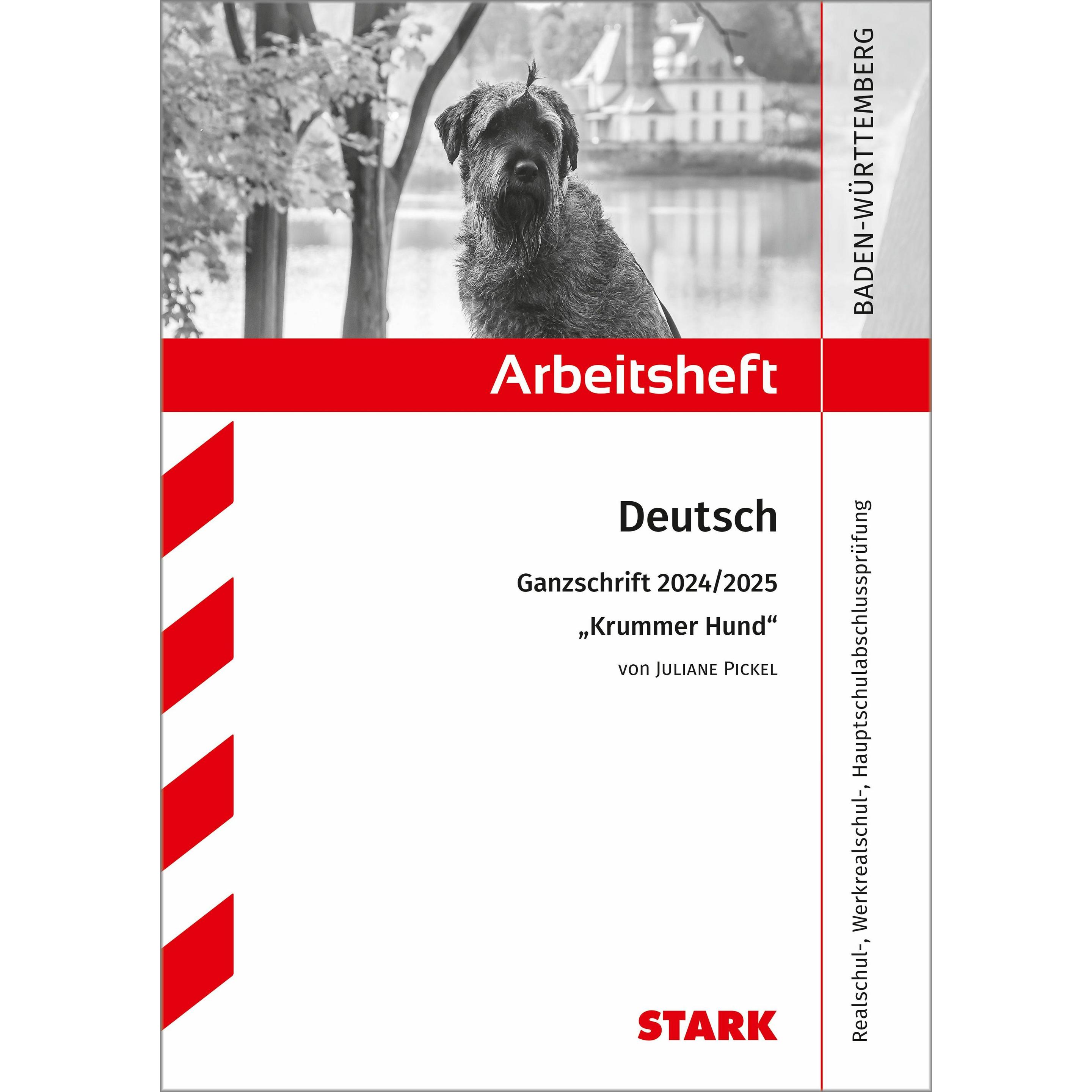 Engel: Arbeitsheft - Deutsch - BaW, Schulbücher von Anja Engel