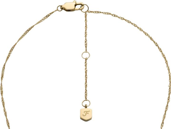 Immagine prodotto Fossil Sutton Halskette (Acciaio inossidabile, 45 - 50 cm)