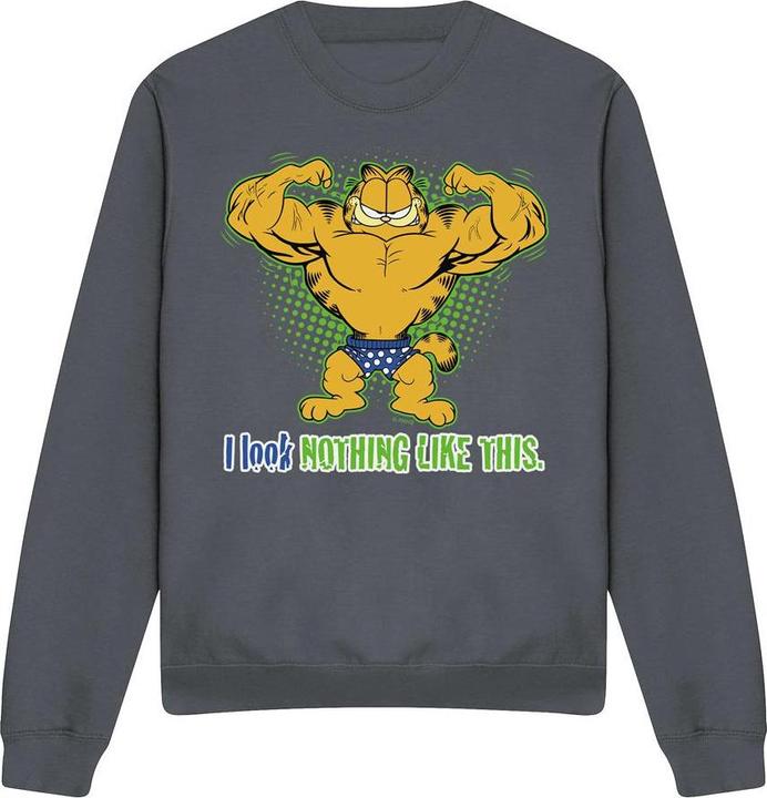 Image du produit Garfield - Sweat NOTHING LIKE THIS - Adulte (S)